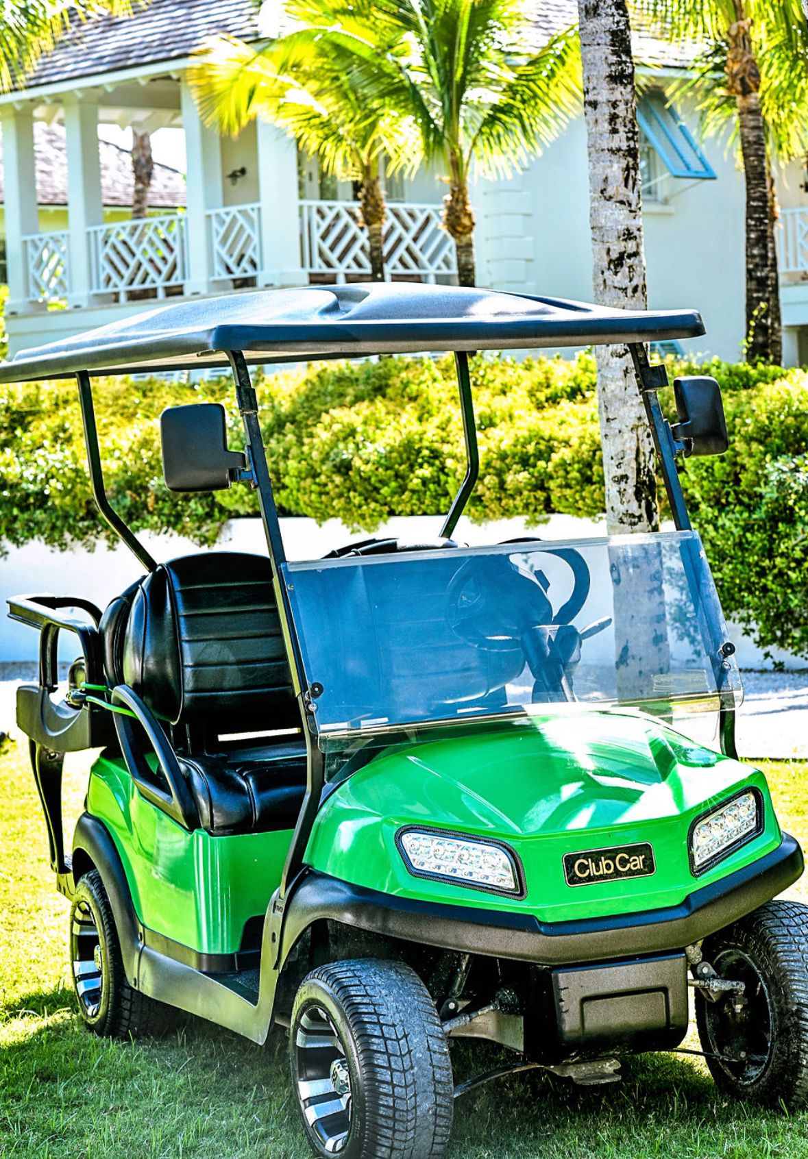 WhatsApp Image 2024-11-07 at 8.38.21 PM (1)