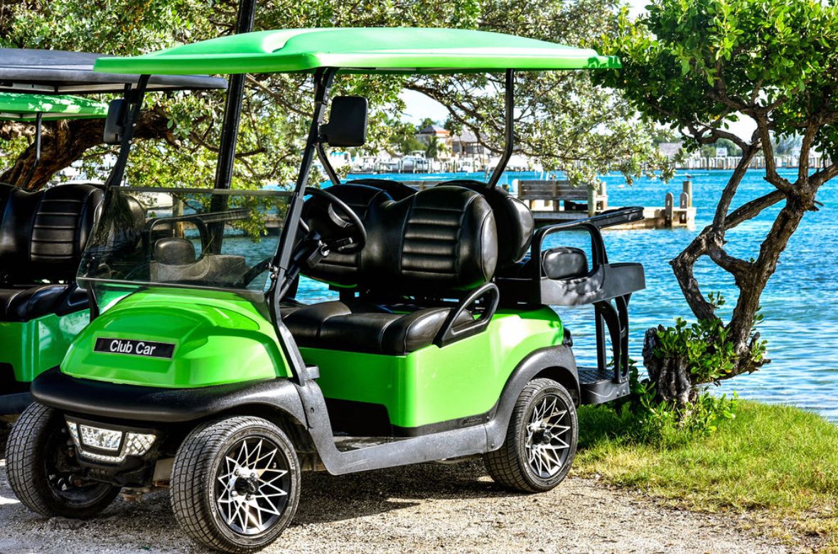 WhatsApp Image 2024-11-07 at 8.38.21 PM (2)